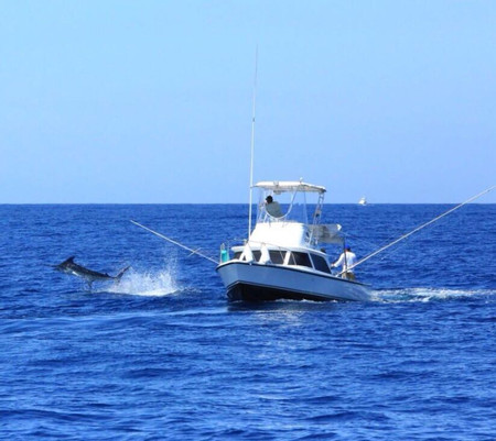 Excursión de pesca día completo photo 3